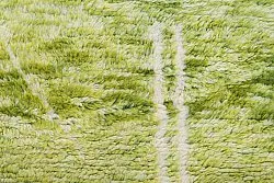 Tapete Kilim Marroquino Azilal 250 x 160 cm