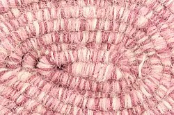 Ullmatta - Wellington (rosa)