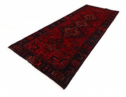 Tapete Oriental Hamedan 300 x 115 cm