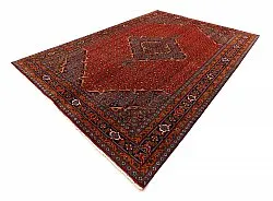 Tapete Oriental Hamedan 289 x 199 cm