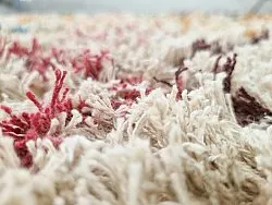 Tapetes felpudos - Maloney Natural Cotton Shaggy (multi)