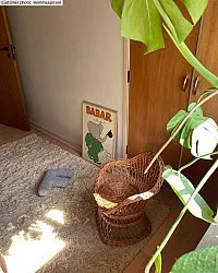 Tapete de lã - Aliste Wool Shaggy (alabaster gleam)