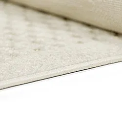 Shaggy Indoor/Outdoor - Rochester (bege)