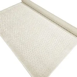 Shaggy Indoor/Outdoor - Rochester (bege)