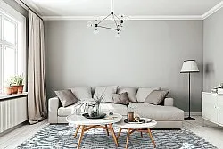Shaggy Indoor-Outdoor - Trenton (branco/azul)