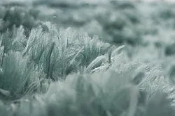 Tapetes felpudos - Janjira (azul-verde)