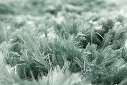 Tapetes redondos - Janjira (azul-verde)