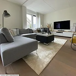 Tapetes felpudos - Aranga Super Soft Fur (bege)