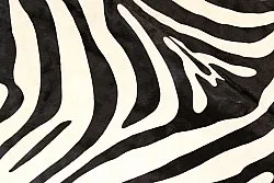 Pele de zebra 11