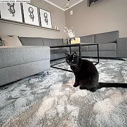 Tapetes felpudos - Aranga Super Soft Fur (cinza)