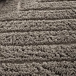 Tapetes felpudos - Conara Natural Cotton Shaggy (taupe)