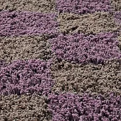 Tapete redondo - Elsey Natural Cotton Shaggy (rjava/vijolična)