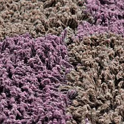 Tapete redondo - Elsey Natural Cotton Shaggy (rjava/vijolična)