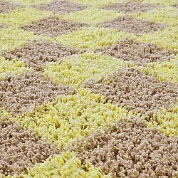 Tapete redondo - Elsey Natural Cotton Shaggy (rumeno/bege)