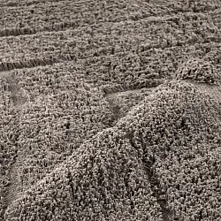 Tapetes felpudos - Farley Natural Cotton Shaggy (taupe)