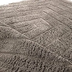 Tapetes felpudos - Farley Natural Cotton Shaggy (taupe)