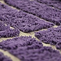Tapete redondo - Ikara Natural Cotton Shaggy (roxo)