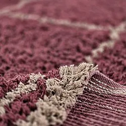 Tapetes felpudos - Lana Natural Cotton Shaggy (taupe/vermelho)