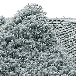 Tapete redondo - Combarro Solid Cotton Shaggy (azul claro)