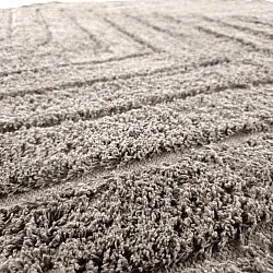 Tapete redondo - Conara Natural Cotton Shaggy (taupe)