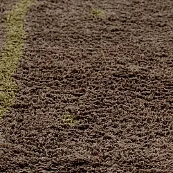 Tapetes felpudos - Leora Natural Cotton Shaggy (marrom/verde oliva)