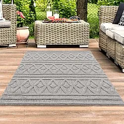 Shaggy Indoor-Outdoor - Chester (cinza)