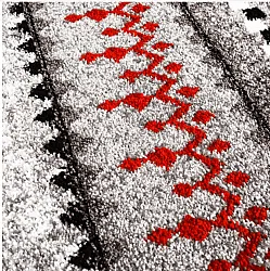 Tapete Wilton - Elduvik (vermelho)