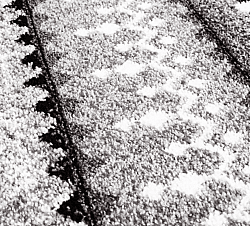 Tapete Wilton - Elduvik (cinza)