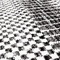 Tapete Wilton - Renous (cinza)