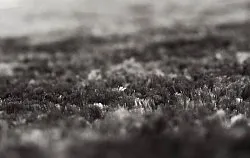 Tapetes felpudos - Shaggy Luxe (antracite)
