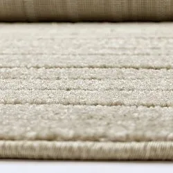 Shaggy Indoor/Outdoor - Hazleton (bege)