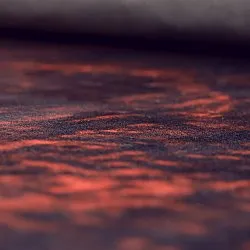 Tapete Wilton - Frome (vermelho)