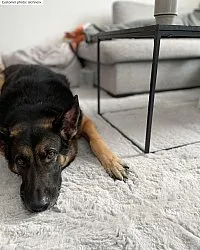 Tapetes felpudos - Cloud Super Soft (cinza)