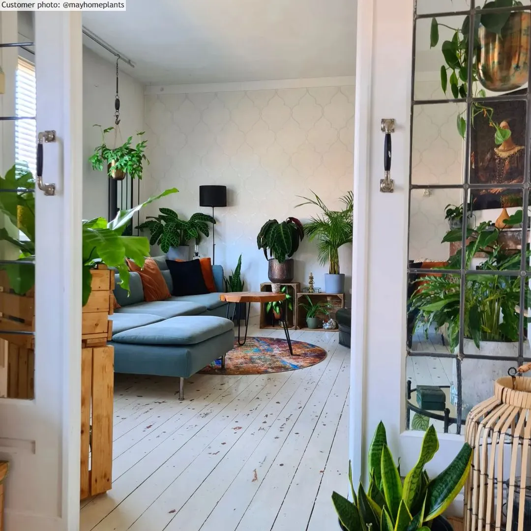 Tapete redondo - Trepito (marrom/azul/multicolorido)