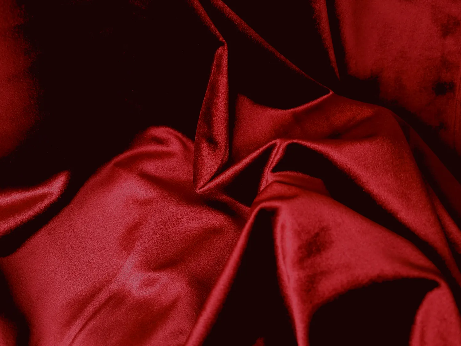 Cortinas - Cortina de veludo Marlyn (vermelho)