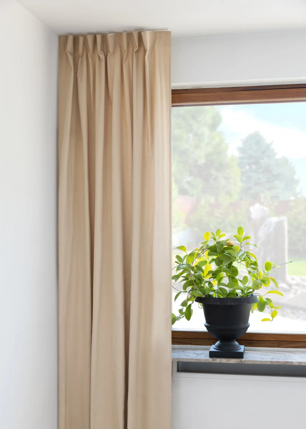 Cortinas - Cortina de algodão Anja (bege)