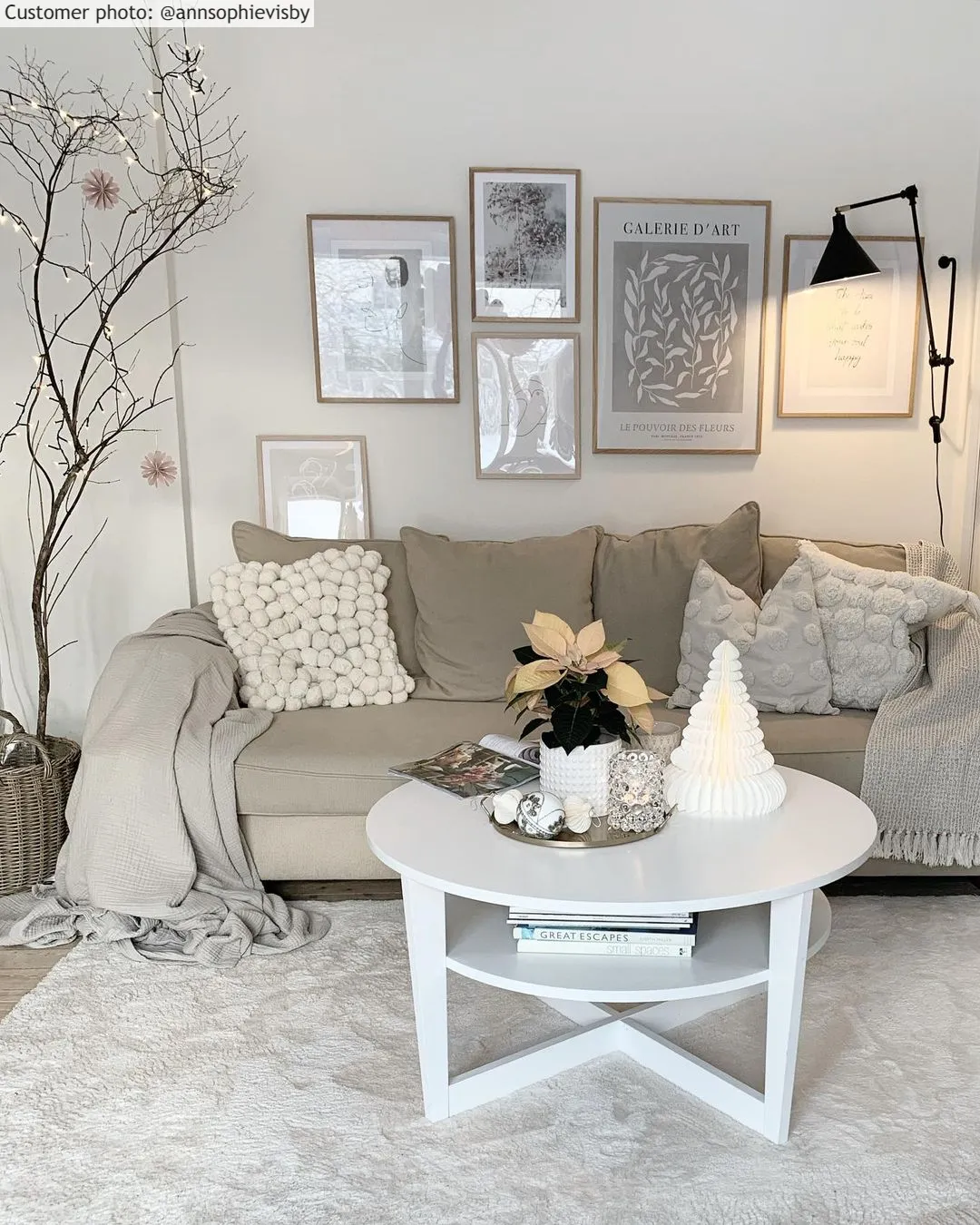 Tapetes felpudos - Aranga Super Soft Fur (bege)