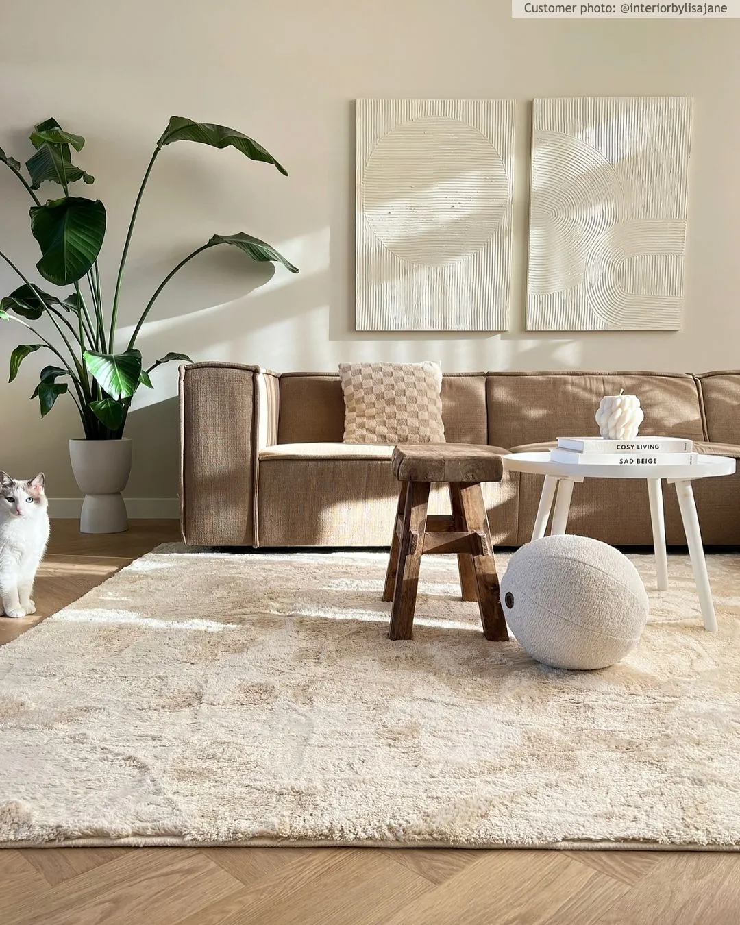 Tapetes felpudos - Aranga Super Soft Fur (bege)