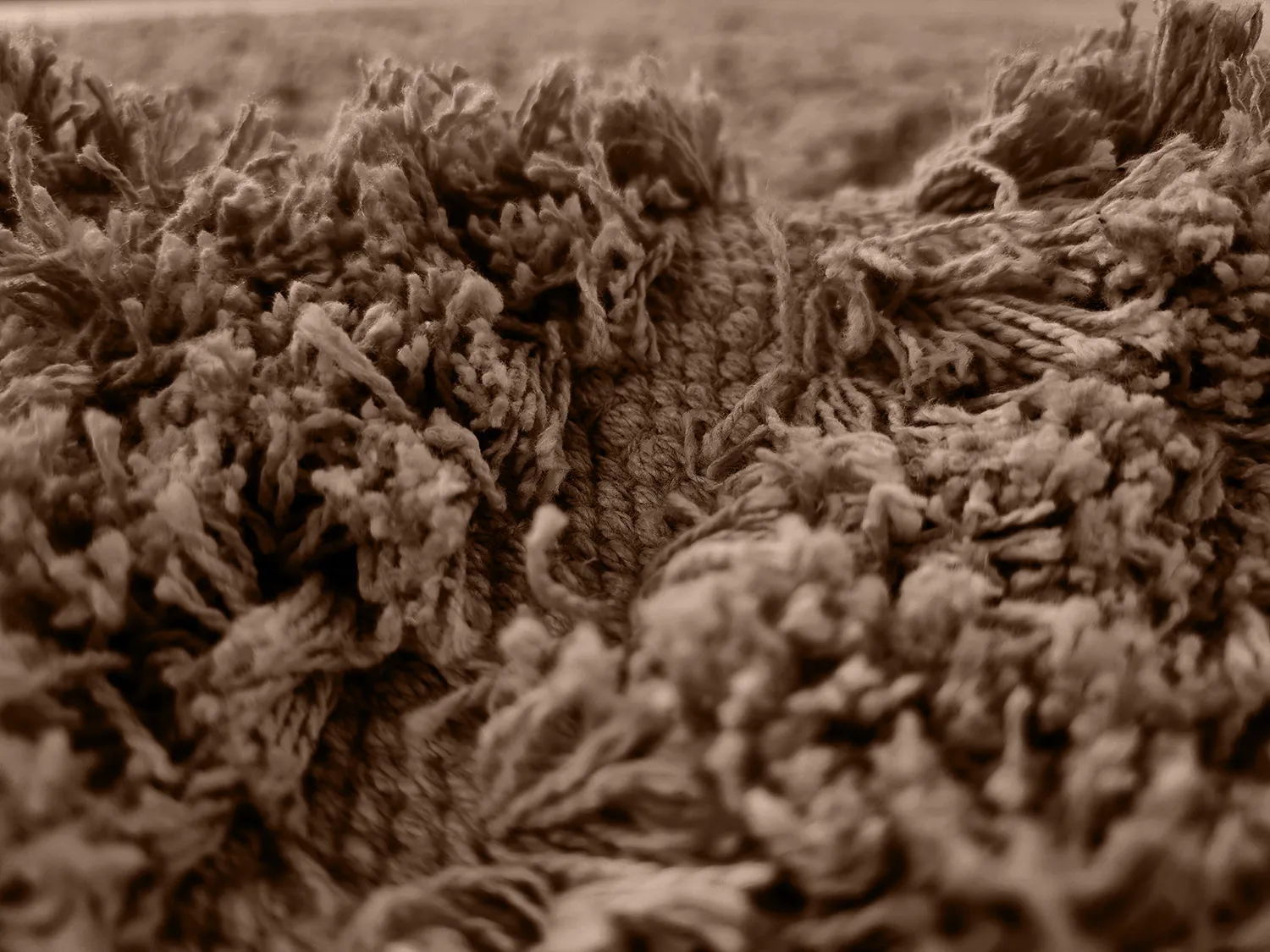 Tapetes felpudos - Kendra Natural Cotton Shaggy (marrom)