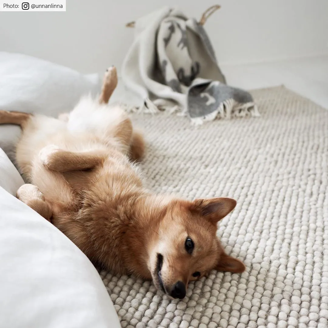 Tapete de lã - Avafors Wool Bubble (bege)