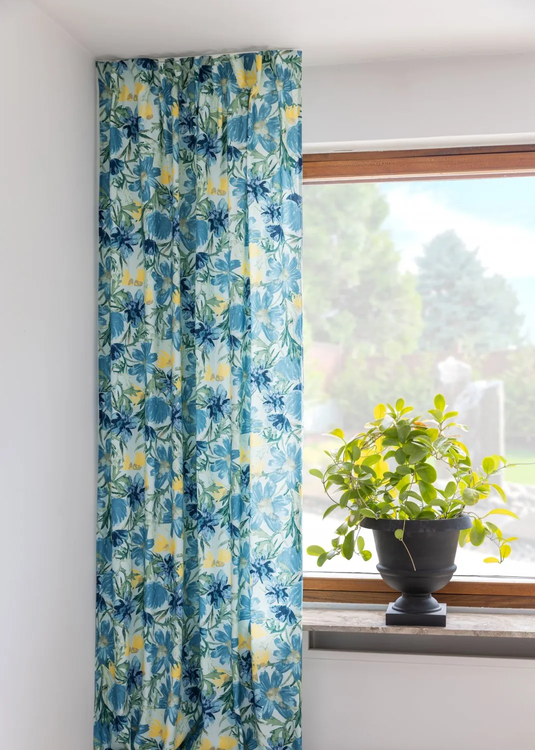 Cortinas - Cortina de algodão Cutie (azul)