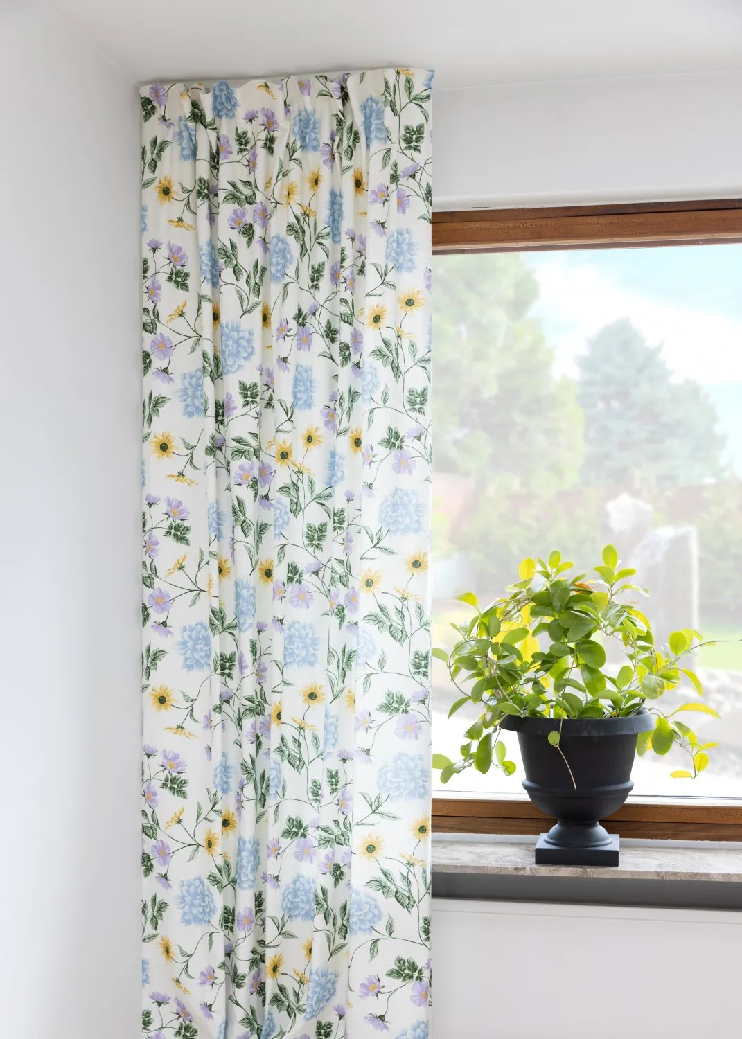 Cortinas - Cortina de algodão Dahlia (azul)