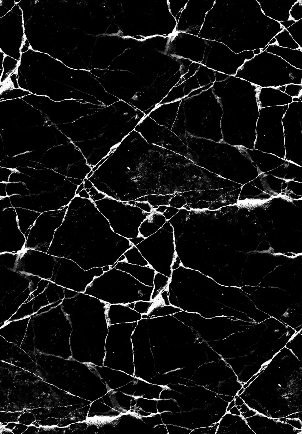 Tapete Wilton - Vieste (preto/branco)