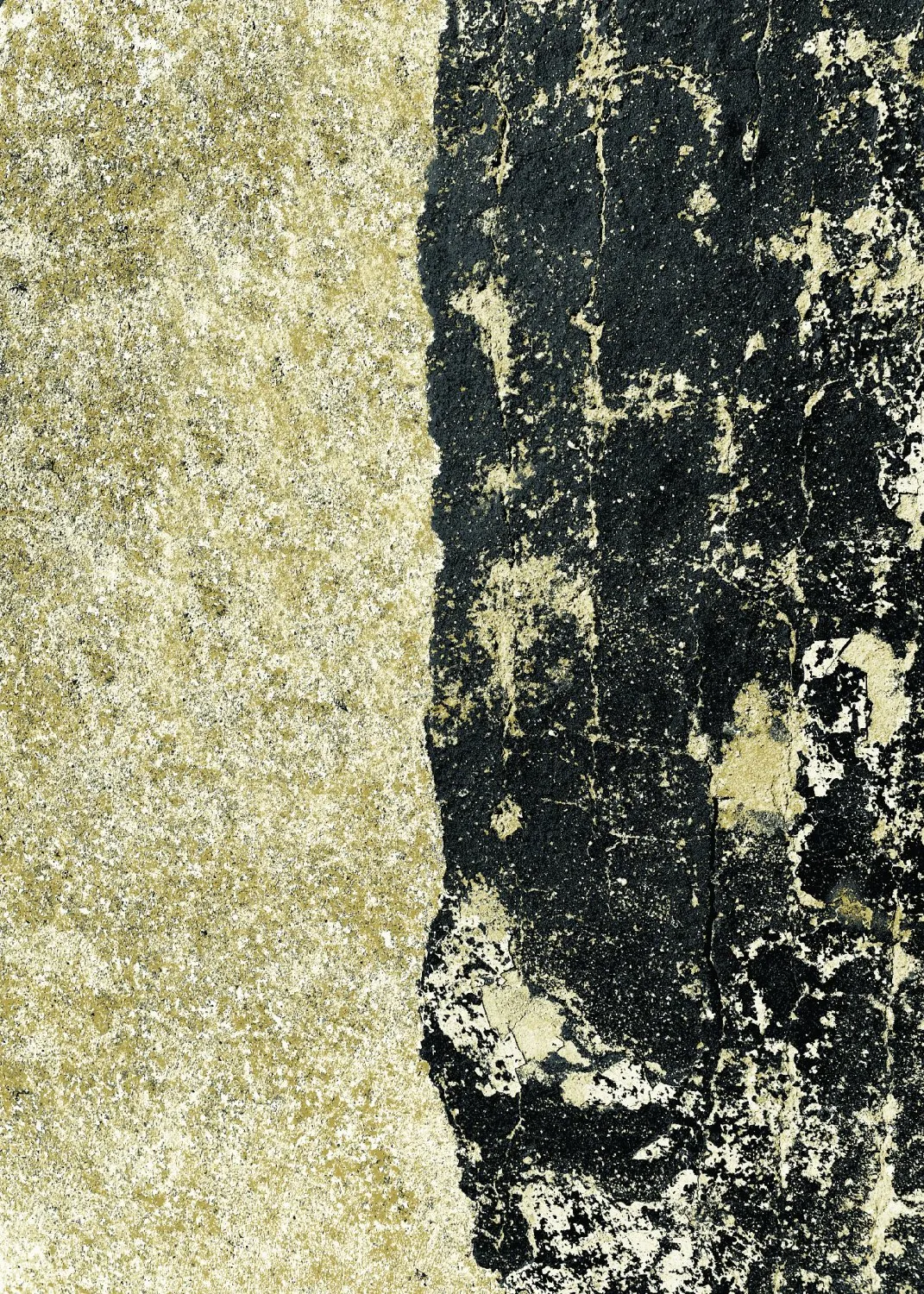 Tapete Wilton - Cyra (preto/dourado)