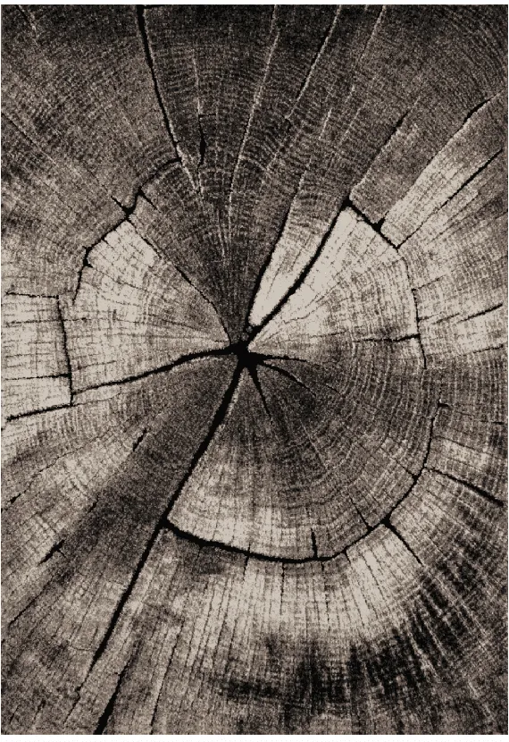 Tapete Wilton - Event (cinza)