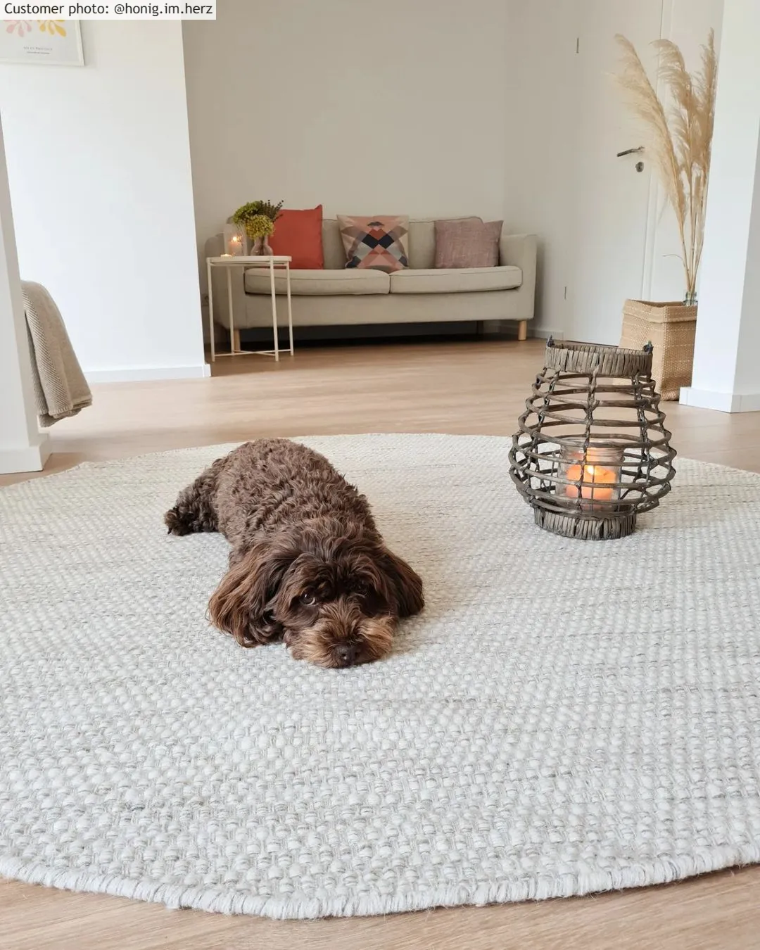 Tapete redondo - Otago (natureza)