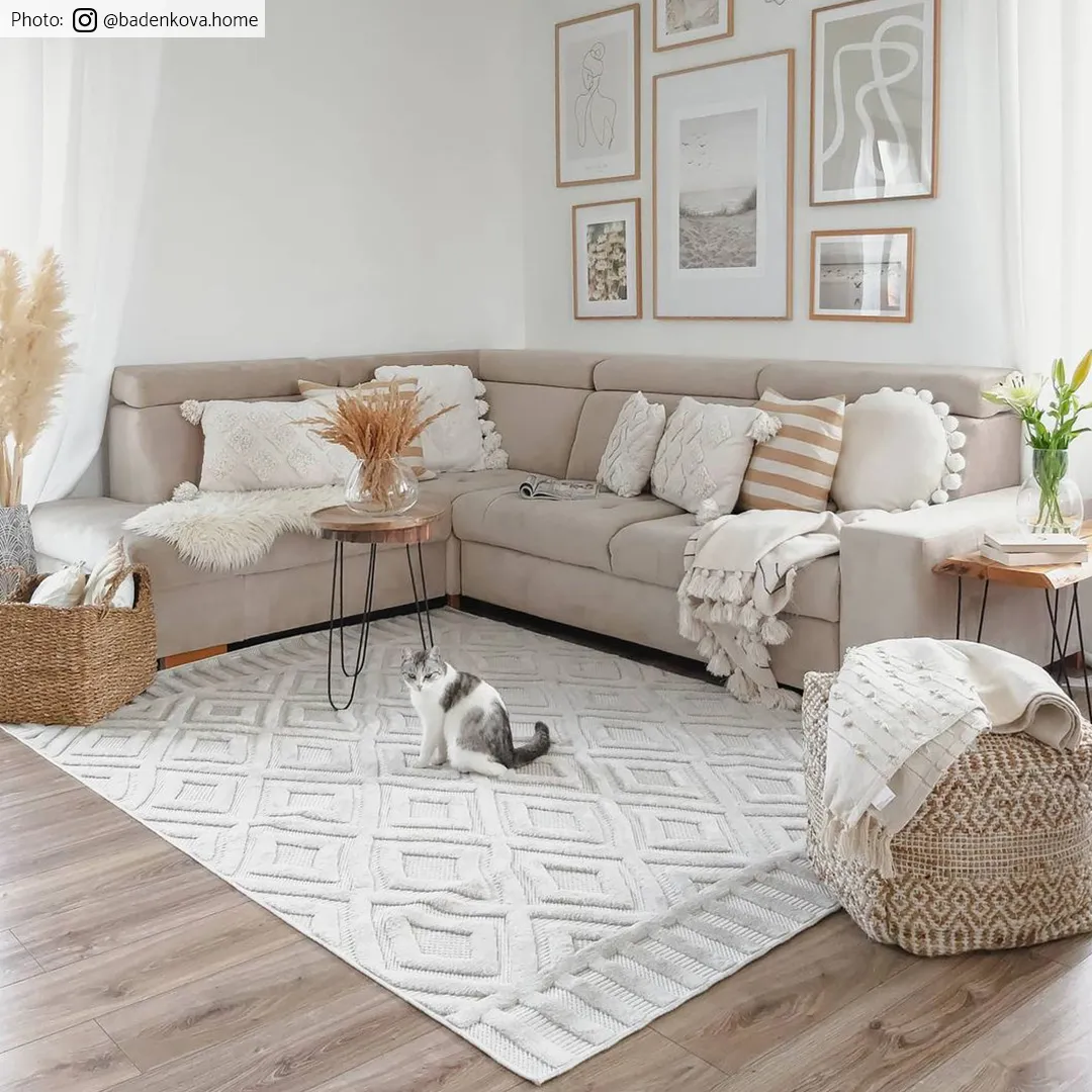 Shaggy Indoor-Outdoor - Lancaster (bege)