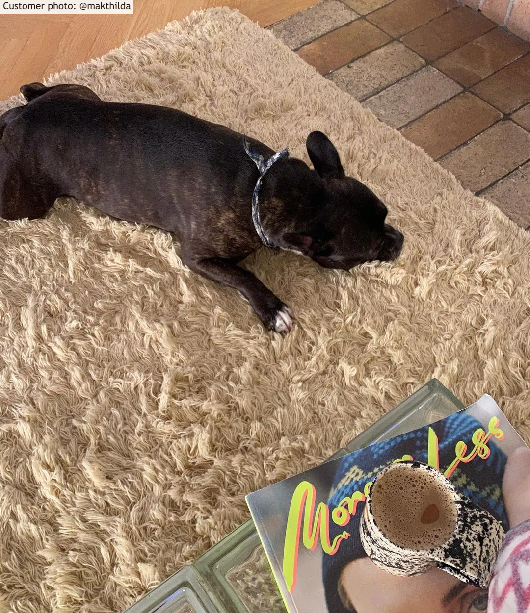 Tapete de lã - Aliste Wool Shaggy (alabaster gleam)