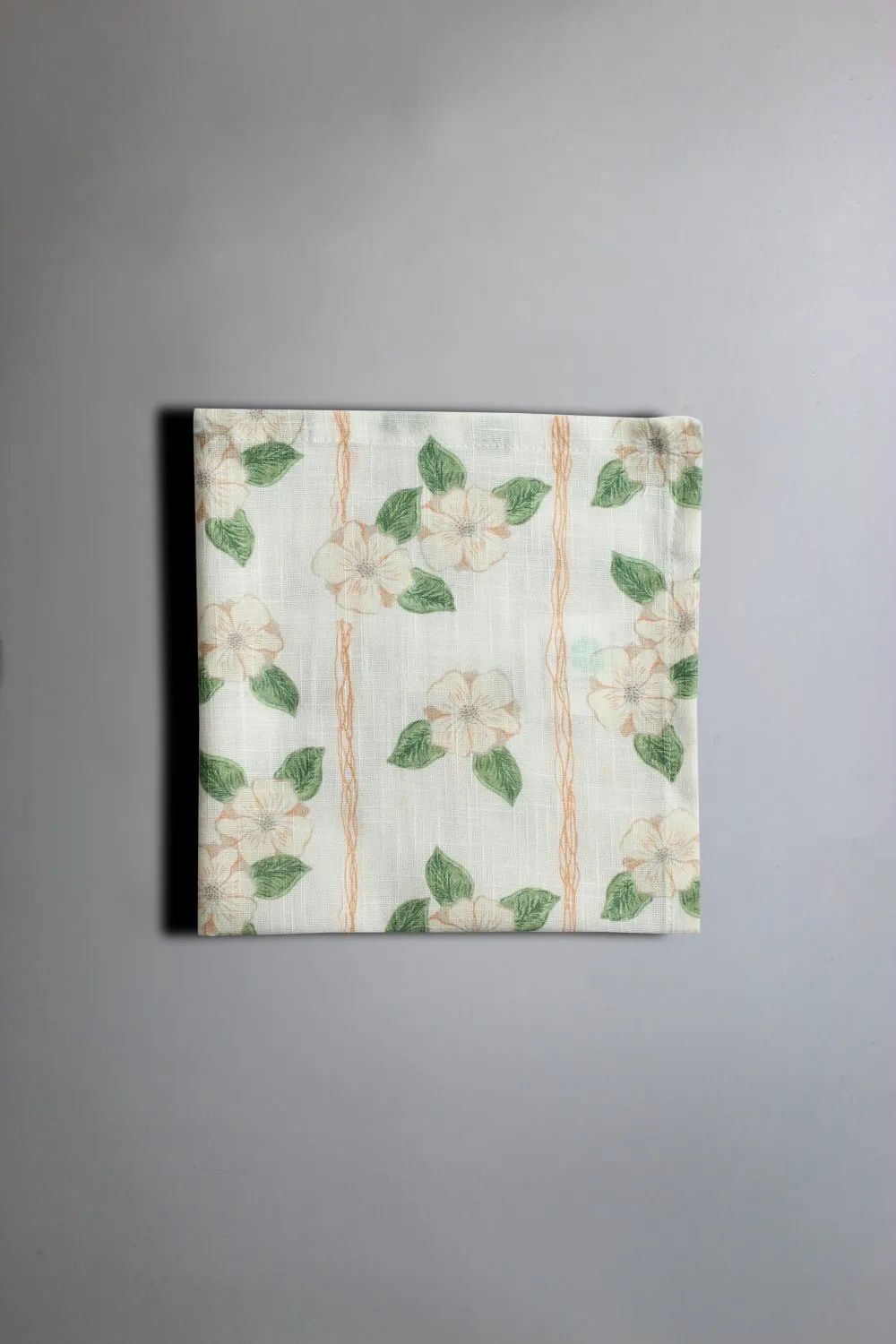 Guardanapos de tecido - conjunto de 4 Anna-Lisa (bege)