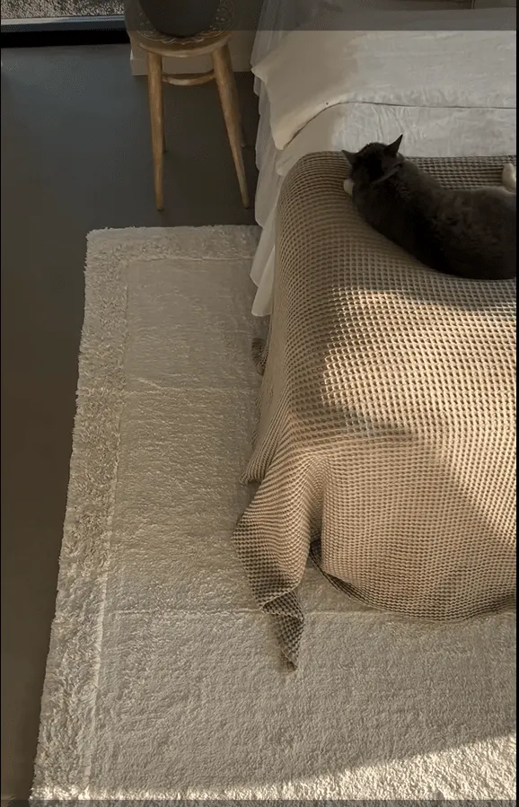 Tapetes felpudos - Ebba Natural Cotton Shaggy (offwhite)